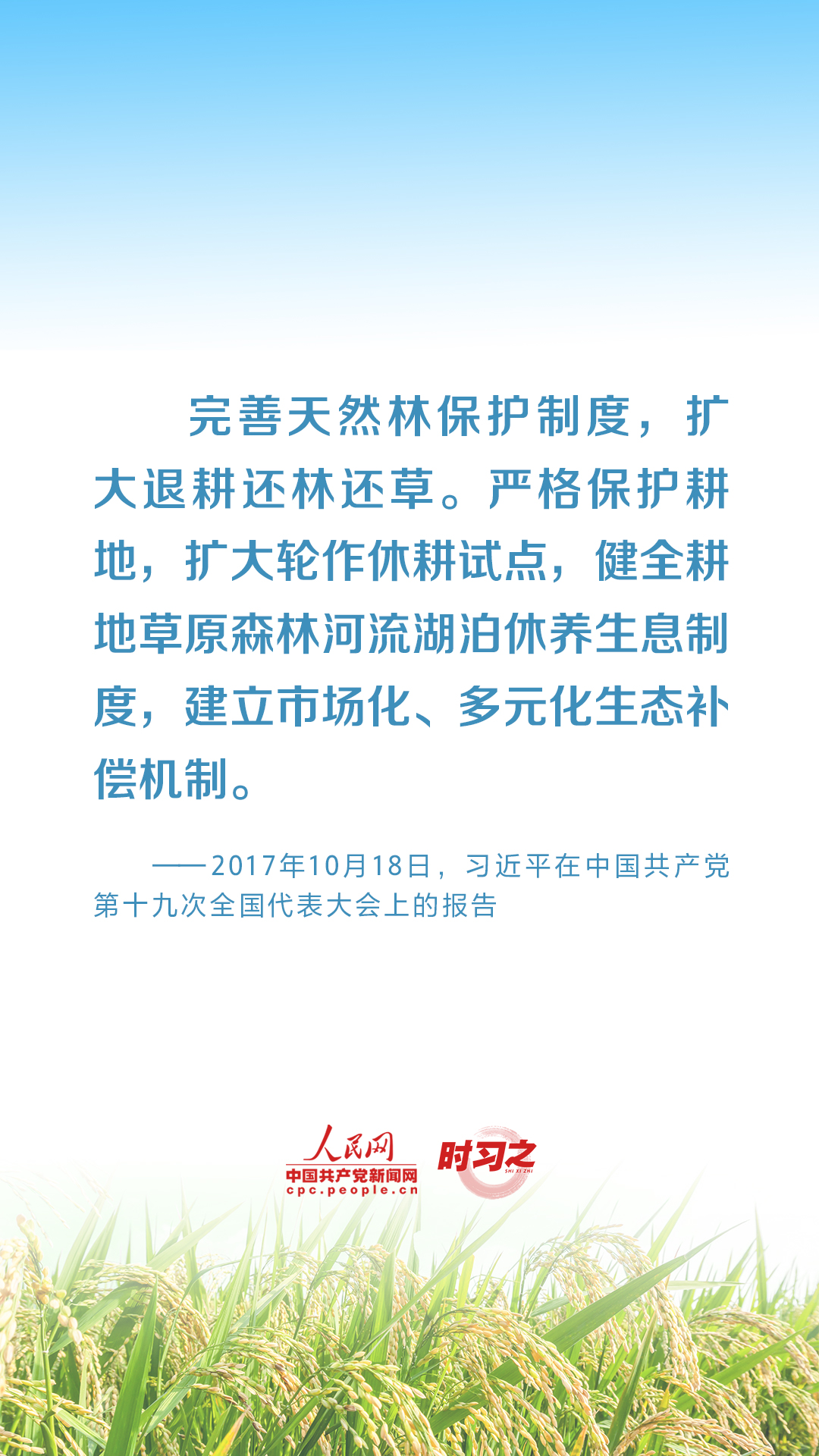 全方位夯实粮食安全根基 习近平强调切实加强耕地保护